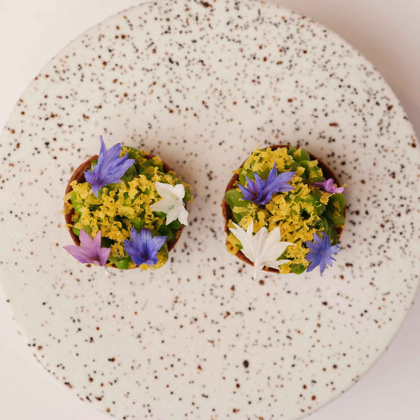 527396725 18398820610117434 9005374959428839740 N