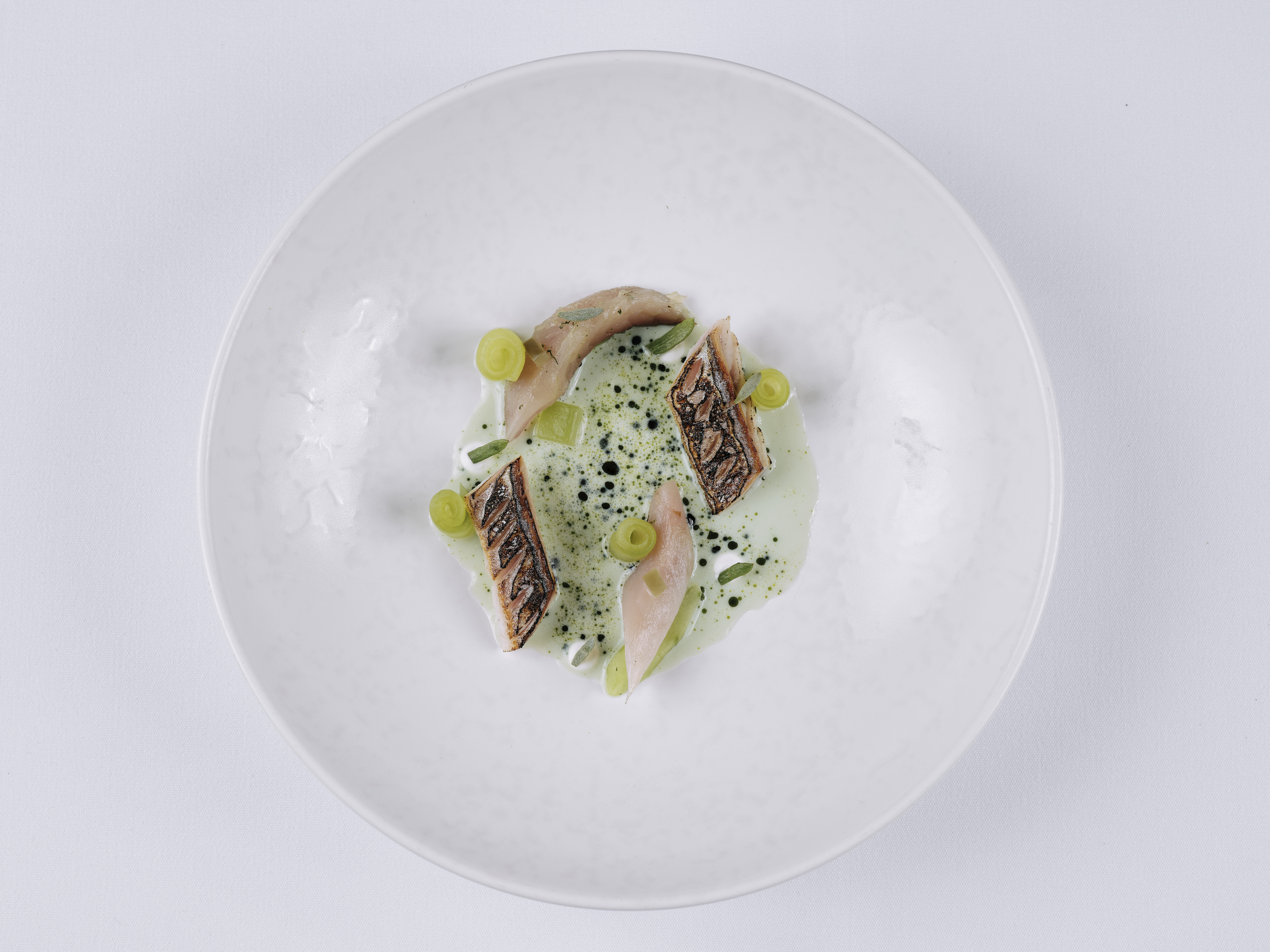 Cure & Torched Jersey Mackerel, Cucumber, Jalapaeno & Buttermilk (23)